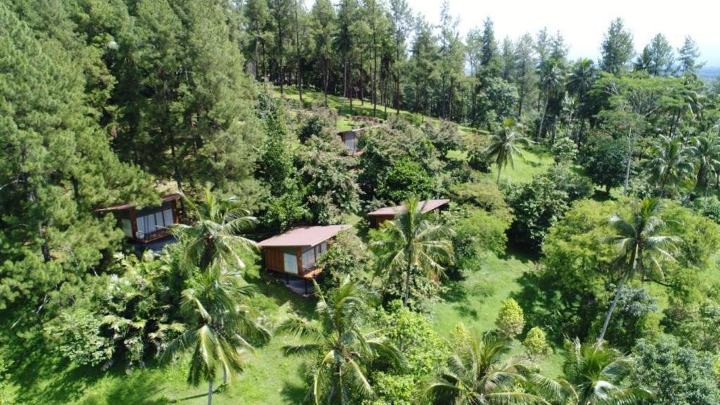 Manohara Resort Magelang Exterior photo